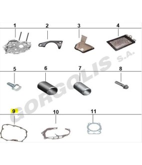 ΦΛΑΝΤΖΑ ΚΑΠΑΚΙΟΥ ΑΜΠΡΑΓΙΑZ DAYTONA ZONTES R/T/V/X