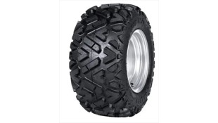 25/8-12 FRIENDWAY 981 8RP 25/8-12 FRIENDWAY 981 8RP