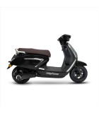 DAYTONA DYNETA 50
