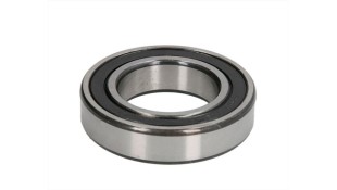 ΡΟΥΛΕΜΑΝ FAG 6007 2RS