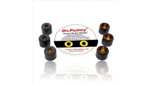 ΜΠΙΛΙΕΣ ΒΑΡΙΑΤΟΡ DR.PULLEY 16X13 5gr ΑΝΤΑΛΛΑΚΤΙΚΑ