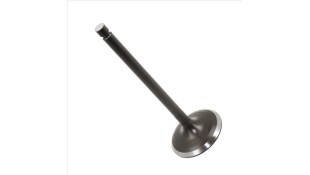 ΒΑΛΒΙΔΑ ΕΙΣΑΓΩΓΗΣ YAMAHA TW 200