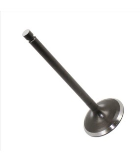 ΒΑΛΒΙΔΑ ΕΙΣΑΓΩΓΗΣ YAMAHA TW 200