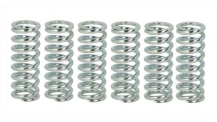 ΕΛΑΤΗΡΙΑ ΣΥΜΠΛΕΚΤΗ ΣΕΤ TRW HONDA/SUZUKI