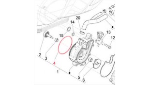 ORING ΤΡΟΜΠΑΣ ΝΕΡΟΥ PIAGGIO MEDLEY 125 ΑΝΤΑΛΛΑΚΤΙΚΑ