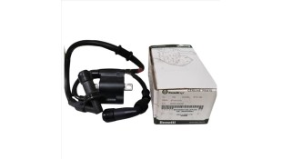 ΠΟΛΛΑΠΛΑΣΙΑΣΤΗΣ ΓΝΗΣΙΟΣ BENELLI RCX 185i ELECTRICAL PARTS