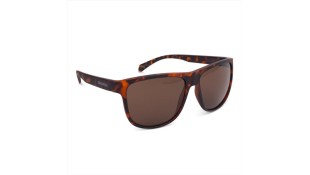 ΓΥΑΛΙΑ ΗΛΙΟΥ OXFORD SAHARA TORTOISE SHELL FRAME BROWN LENS ACCESSORIES