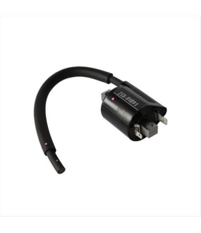 ΠΟΛΛΑΠΛΑΣΙΑΣΤΗΣ YAMAHA CRYPTON X 135 ELECTRICAL PARTS