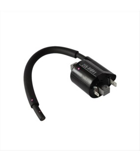 ΠΟΛΛΑΠΛΑΣΙΑΣΤΗΣ YAMAHA CRYPTON X 135 ΗΛΕΚΤΡΙΚΑ