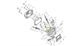 ΒΑΛΒΙΔΑ ΕΙΣΑΓΩΓΗΣ SYM CARGO 125 EVO E5+ SPARE PARTS