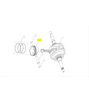 ΠΙΣΤΟΝΙ SYM CARGO 125 EVO E5+ SPARE PARTS