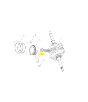 ΠΕΙΡΟΣ ΠΙΣΤΟΝΙΟΥ SYM CARGO 125 EVO E5+ SPARE PARTS