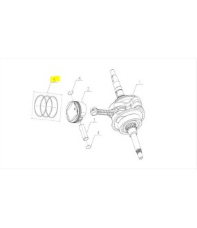 ΕΛΑΤΗΡΙΑ ΠΙΣΤΟΝΙΟΥ SYM CARGO 125 EVO E5+ SPARE PARTS