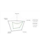 ΔΑΓΚΑΝΑ ΕΜΠΡΟΣΘΙΑ BREMBO M4.32 CFMOTO 450 MT ΔΕΞΙΑ ΑΝΤΑΛΛΑΚΤΙΚΑ