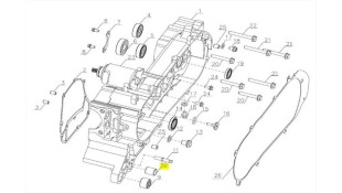 ΣΥΝΕΜΠΛΟΚ ΚΑΡΤΕΡ SYM CARGO 125 EVO E5+ SPARE PARTS