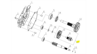 ΓΡΑΝΑΖΙ ΔΙΠΛΟ ΔΙΑΦΟΡΙΚΟΥ 41T/14T SYM CARGO 125 EVO E5+ SPARE PARTS