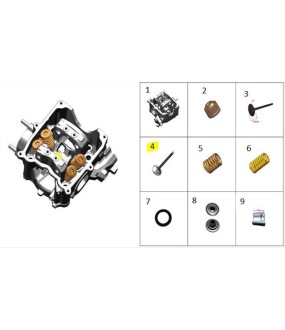 ΒΑΛΒΙΔΑ ΕΙΣΑΓΩΓΗΣ ZONTES G 368 E5+ SPARE PARTS