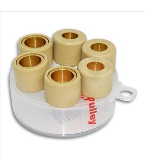 ΜΠΙΛΙΕΣ DR.PULLEY 25x15 14gr ΑΝΤΑΛΛΑΚΤΙΚΑ