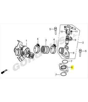 ΦΛΑΝΤΖΑ ΛΑΙΜΟΥ ΣΩΜΑΤΟΣ ΨΕΚΑΣΜΟΥ DAYTONA DY/SPRINTER