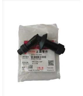 ΜΠΟΥΖΟΠΙΠΑ SYM 30700-T7A-A00