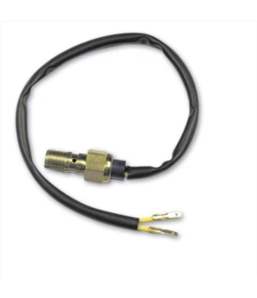 ΔΙΑΚΟΠΤΗΣ ΦΡΕΝΟΥ TRW 10mm x 1 DUCATI/SUZUKI