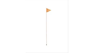 Whip Flag