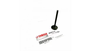 ΒΑΛΒΙΔΑ ΕΞΑΓΩΓΗΣ YAMAHA CRYPTON 105/110/115