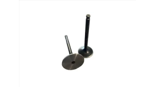 ΒΑΛΒΙΔΕΣ ΕΙΣΑΓΩΓΗΣ/ΕΞΑΓΩΓΗΣ ΣΕΤ TAKEGAWA 24/28 YAMAHA CRYPTON 105/110/115