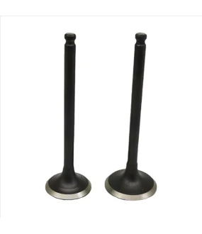 ΒΑΛΒΙΔΕΣ ΕΙΣΑΓΩΓΗΣ/ΕΞΑΓΩΓΗΣ ΣΕΤ 24/28 YAMAHA CRYPTON 105/110/115