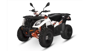 DAYTONA KAYO 300 DAYTONA KAYO 300