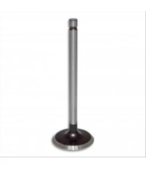 ΒΑΛΒΙΔΑ ΕΞΑΓΩΓΗΣ MODENAS KRISS 115