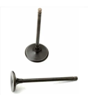 ΒΑΛΒΙΔΕΣ ΕΙΣΑΓΩΓΗΣ/ΕΞΑΓΩΓΗΣ ΣΕΤ GY6 125