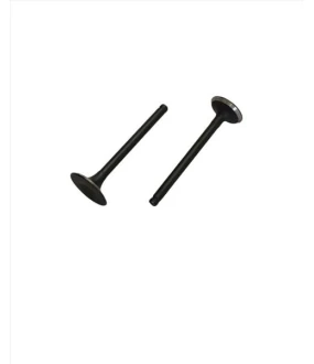 ΒΑΛΒΙΔΕΣ ΕΙΣΑΓΩΓΗΣ/ΕΞΑΓΩΓΗΣ ΣΕΤ LIFAN CDI 125 27/23