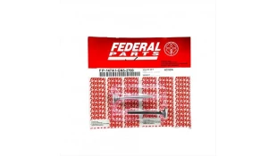 ΒΑΛΒΙΔΕΣ ΣΕΤ FEDERAL HONDA ASTREA